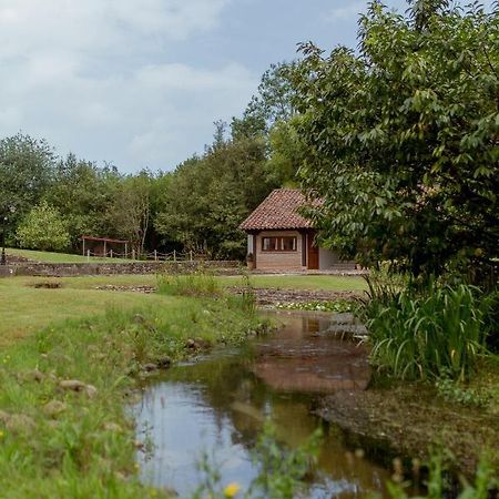 Penzion El Molino De Bonaco San Vicente De La Barquera Exteriér fotografie